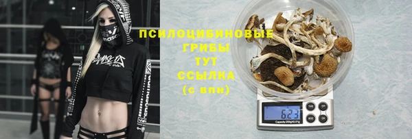 эйфоретик Новозыбков
