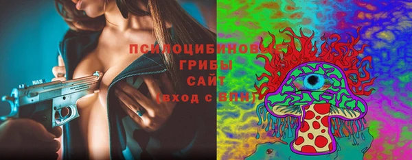спиды Богородицк